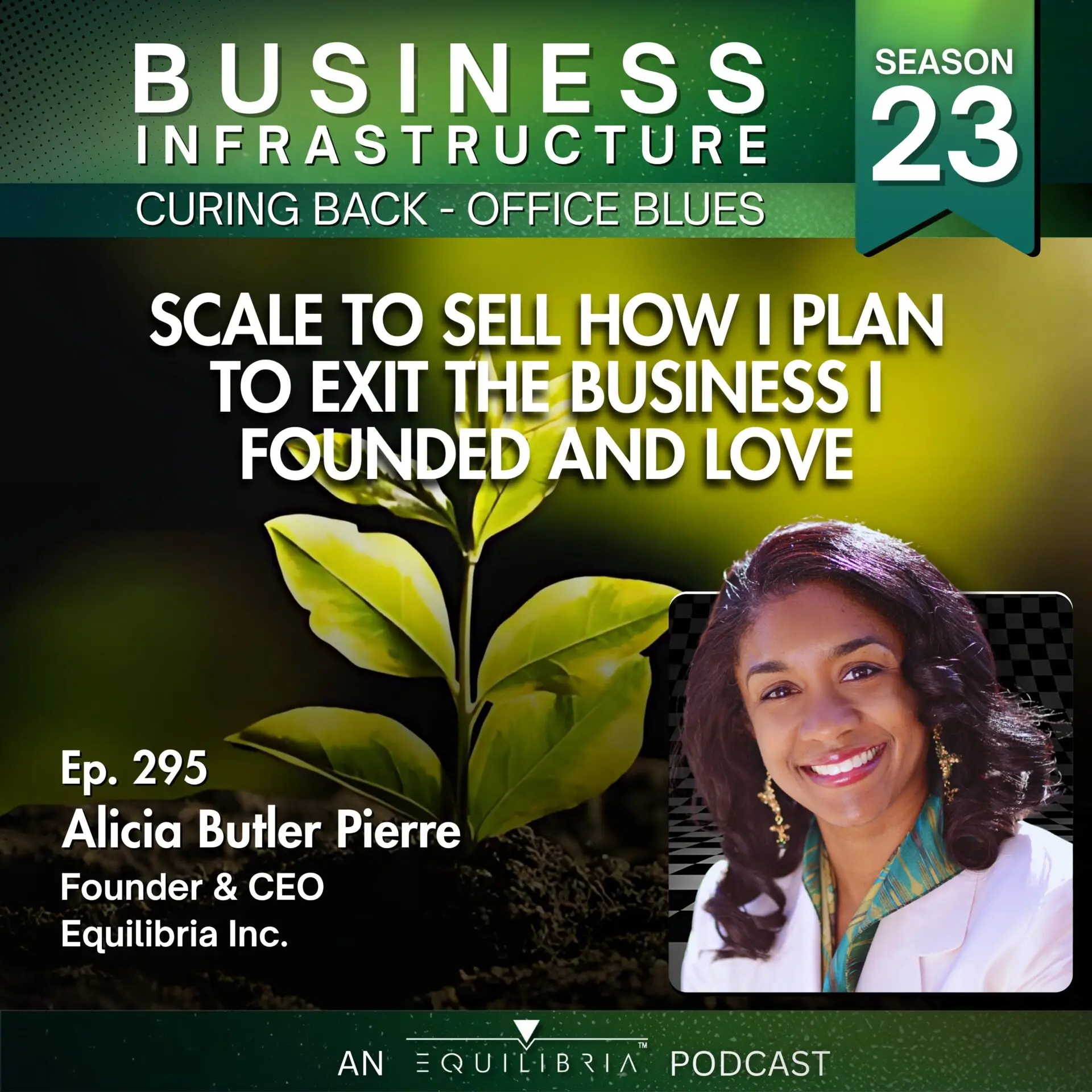 295: Scale to Sell – How I Plan to Exit the Business I Founded and Love