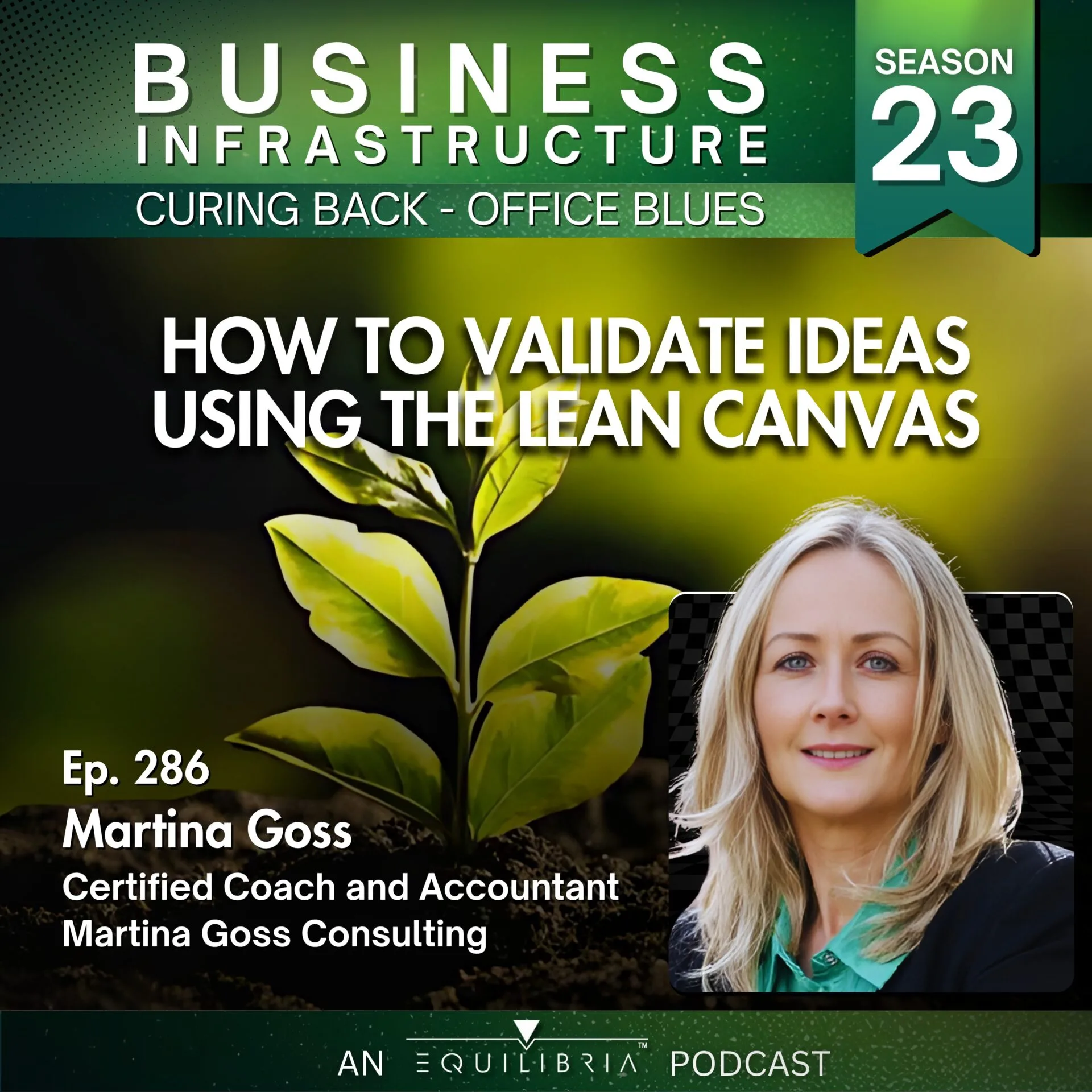 286: Martina Goss Explains How to Validate Ideas Using the Lean Canvas