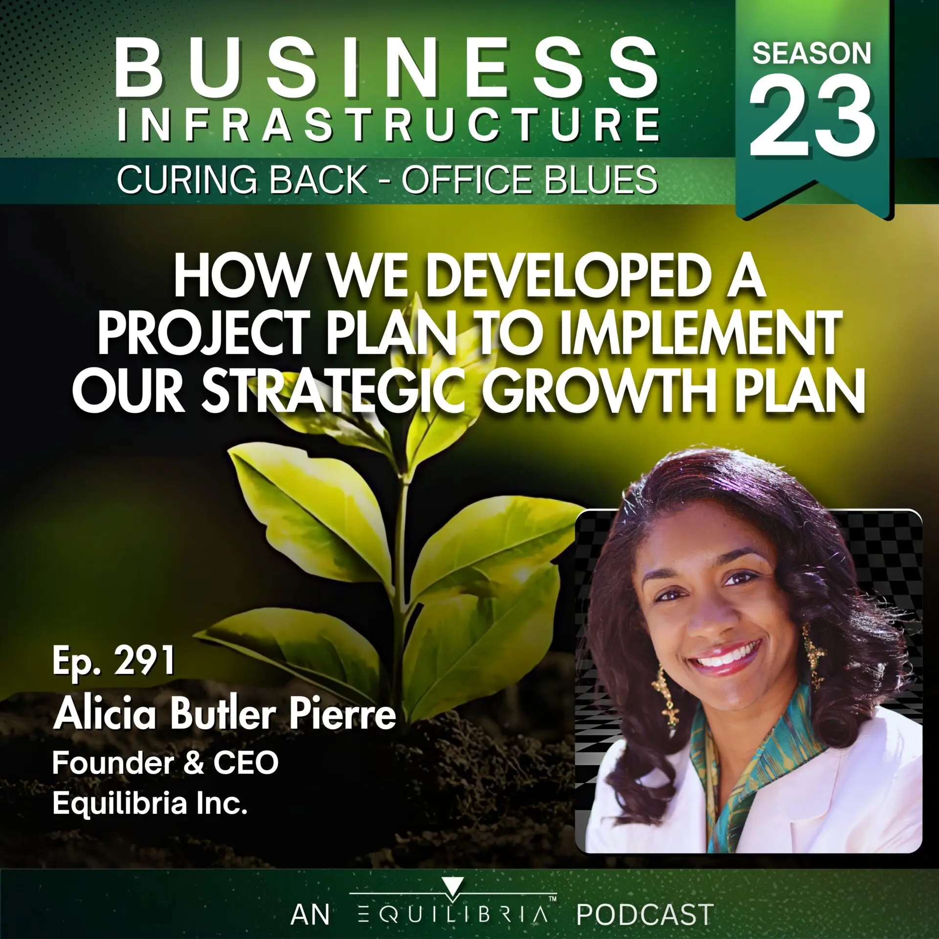 291: How We Developed a Project Plan to Implement Our Strategic Growth Plan